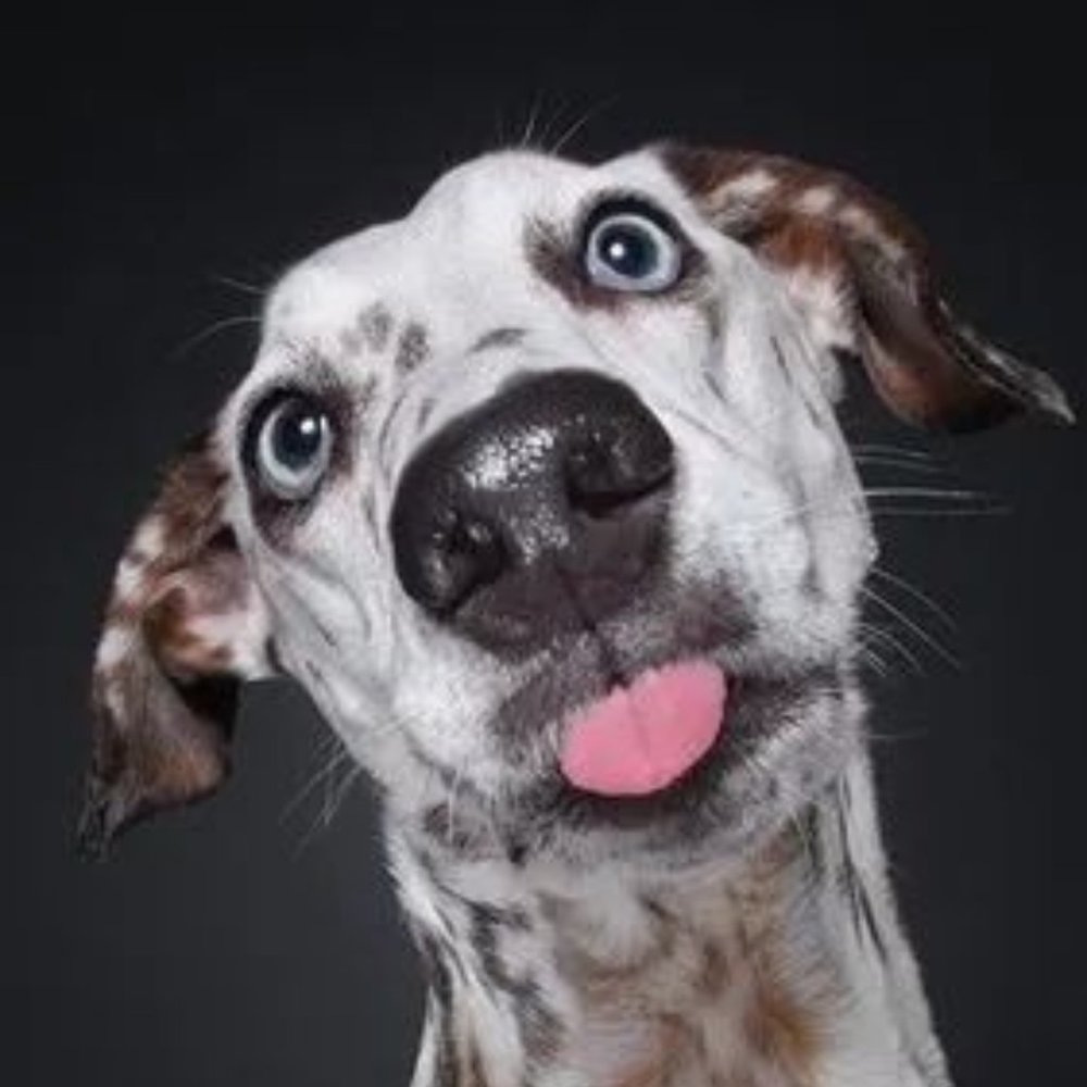 Meet your Posher, Elijah